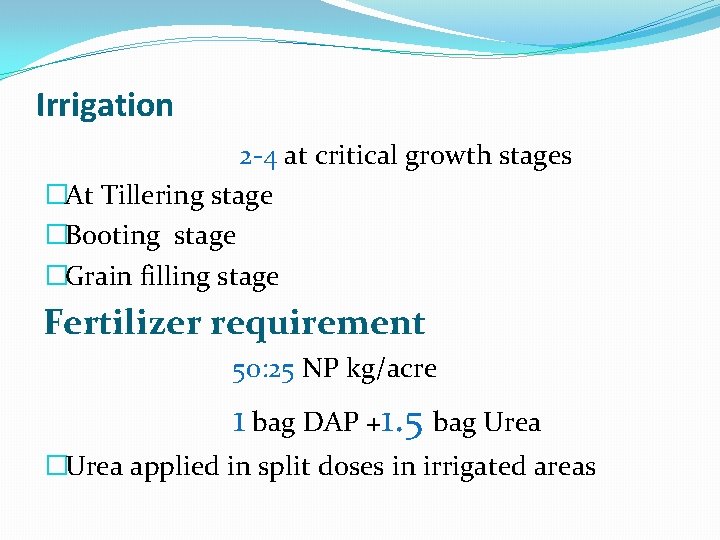 Irrigation 2 -4 at critical growth stages �At Tillering stage �Booting stage �Grain filling