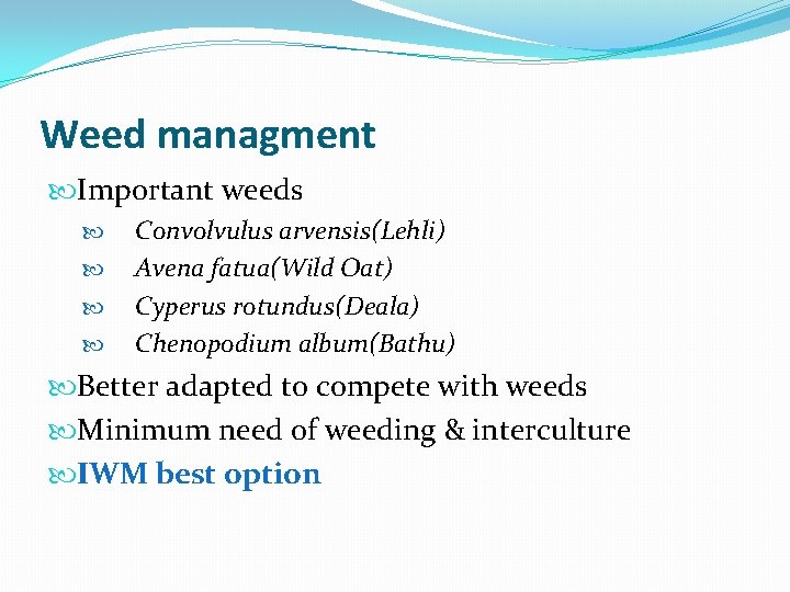 Weed managment Important weeds Convolvulus arvensis(Lehli) Avena fatua(Wild Oat) Cyperus rotundus(Deala) Chenopodium album(Bathu) Better