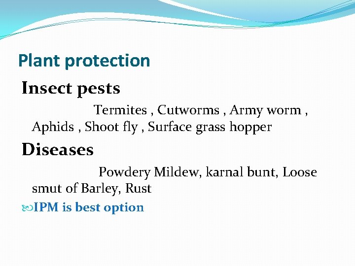Plant protection Insect pests Termites , Cutworms , Army worm , Aphids , Shoot
