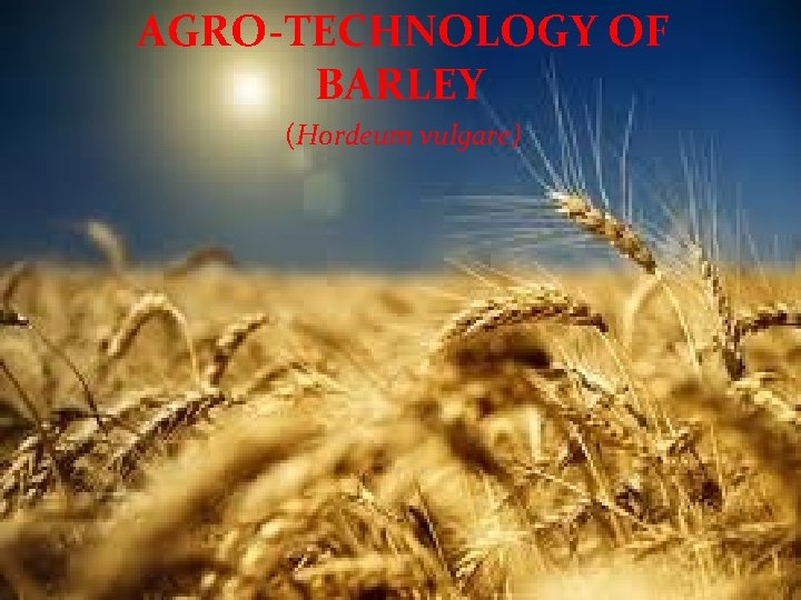  AGRO-TECHNOLOGY OF BARLEY (Hordeum vulgare) 