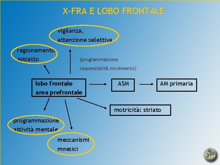 X-FRA E LOBO FRONTALE vigilanza, attenzione selettiva ragionamento astratto (programmazione sequenzialità movimento) lobo frontale