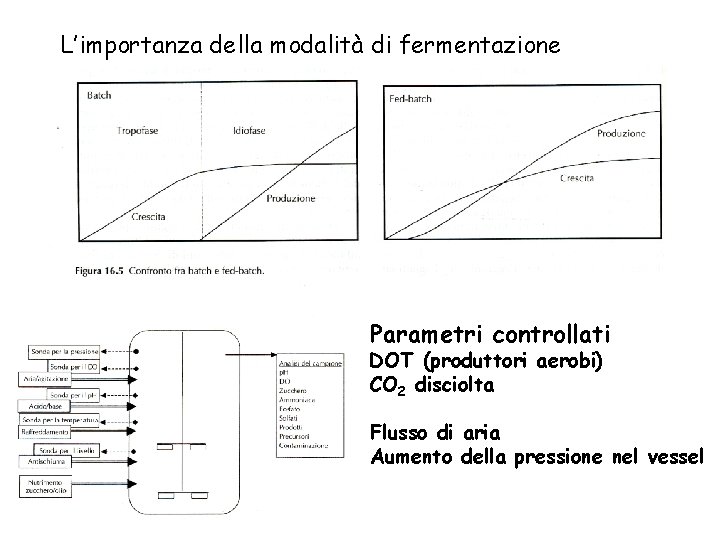 L’importanza della modalità di fermentazione Parametri controllati DOT (produttori aerobi) CO 2 disciolta Flusso