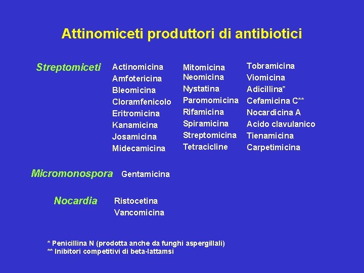 Attinomiceti produttori di antibiotici Streptomiceti Actinomicina Amfotericina Bleomicina Cloramfenicolo Eritromicina Kanamicina Josamicina Midecamicina Micromonospora