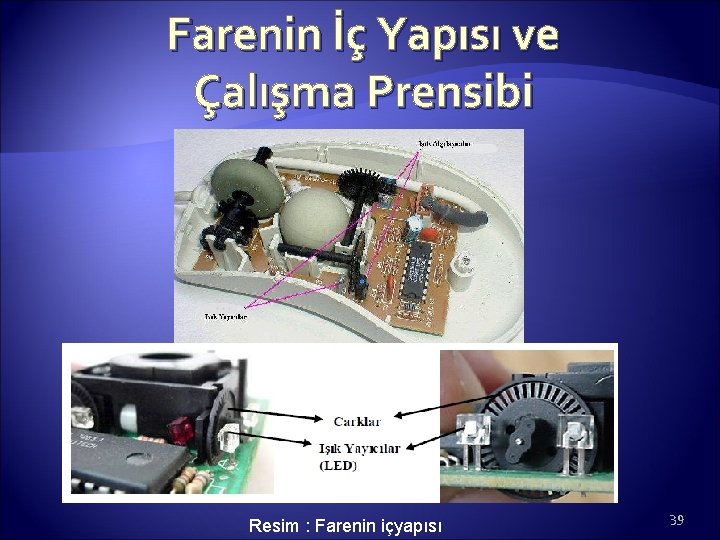 Farenin İç Yapısı ve Çalışma Prensibi Resim : Farenin içyapısı 39 