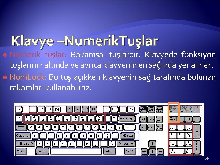 Klavye –Numerik. Tuşlar Numerik tuşlar: Rakamsal tuşlardır. Klavyede fonksiyon tuşlarının altında ve ayrıca klavyenin