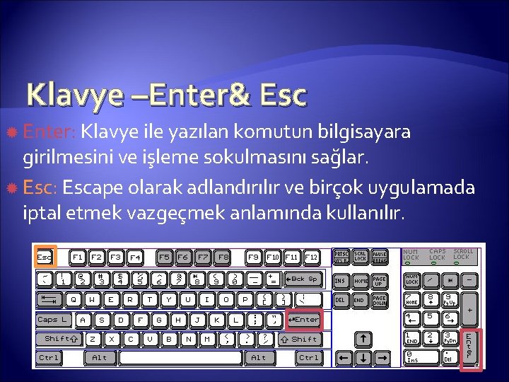 Klavye –Enter& Esc Enter: Klavye ile yazılan komutun bilgisayara girilmesini ve işleme sokulmasını sağlar.