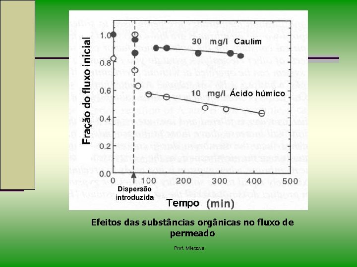 Efeitos das substâncias orgânicas no fluxo de permeado Prof. Mierzwa 