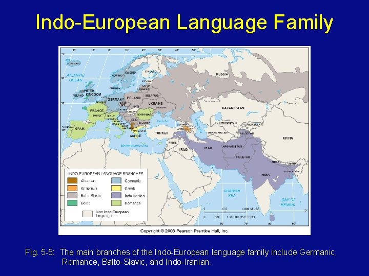 Indo-European Language Family Fig. 5 -5: The main branches of the Indo-European language family