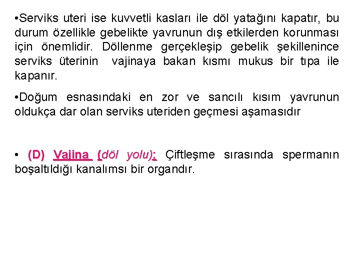  • Serviks uteri ise kuvvetli kasları ile döl yatağını kapatır, bu durum özellikle