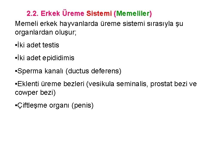 2. 2. Erkek Üreme Sistemi (Memeliler) Memeli erkek hayvanlarda üreme sistemi sırasıyla şu organlardan