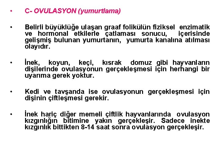  • C- OVULASYON (yumurtlama) • Belirli büyüklüğe ulaşan graaf folikülün fiziksel enzimatik ve