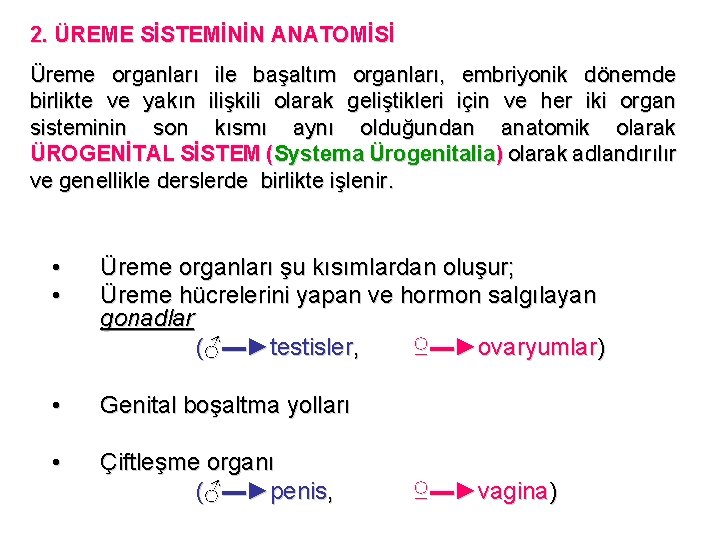 2. ÜREME SİSTEMİNİN ANATOMİSİ Üreme organları ile başaltım organları, embriyonik dönemde birlikte ve yakın