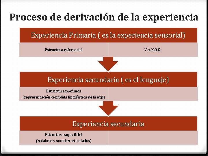 Proceso de derivación de la experiencia Experiencia Primaria ( es la experiencia sensorial) Estructura