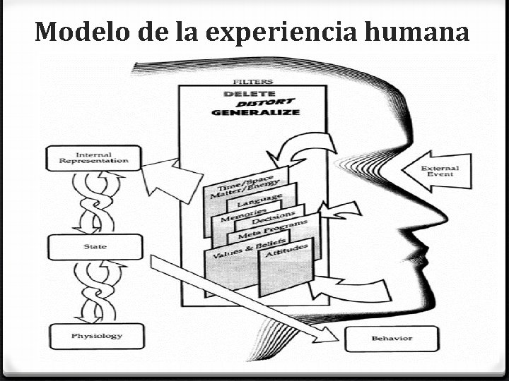 Modelo de la experiencia humana 