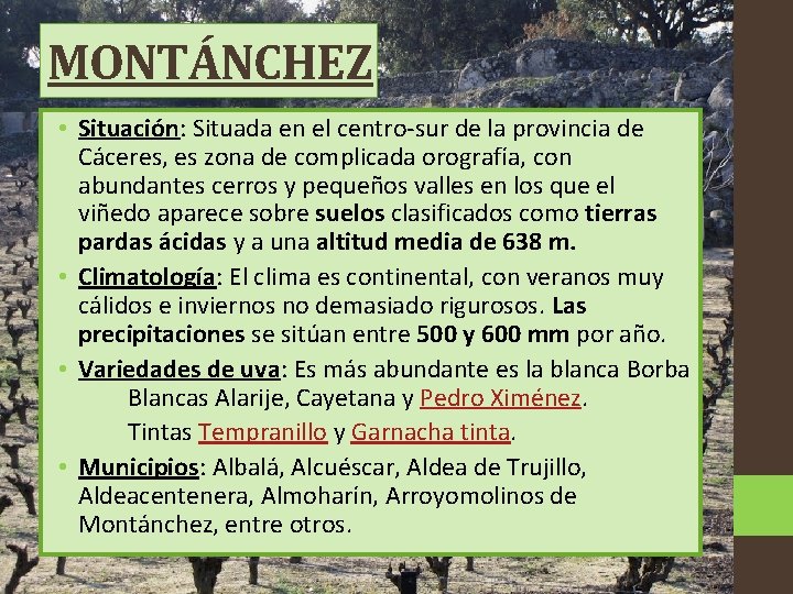 MONTÁNCHEZ • Situación: Situada en el centro-sur de la provincia de Cáceres, es zona