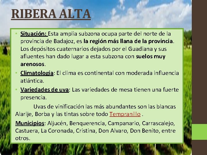 RIBERA ALTA • Situación: Esta amplia subzona ocupa parte del norte de la provincia