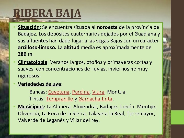 RIBERA BAJA • Situación: Se encuentra situada al noroeste de la provincia de Badajoz.