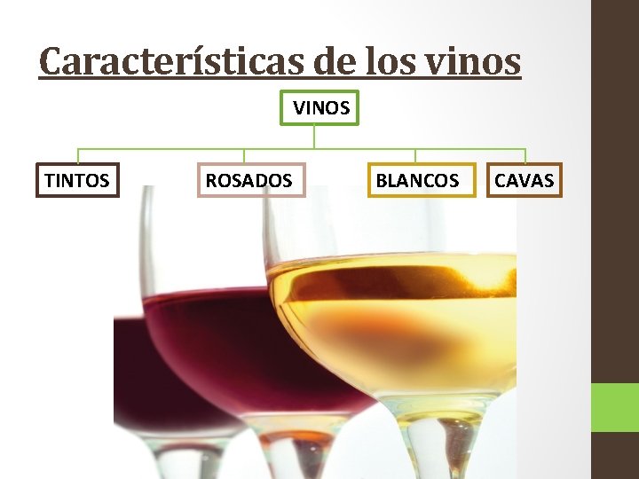 Características de los vinos VINOS TINTOS ROSADOS BLANCOS CAVAS 