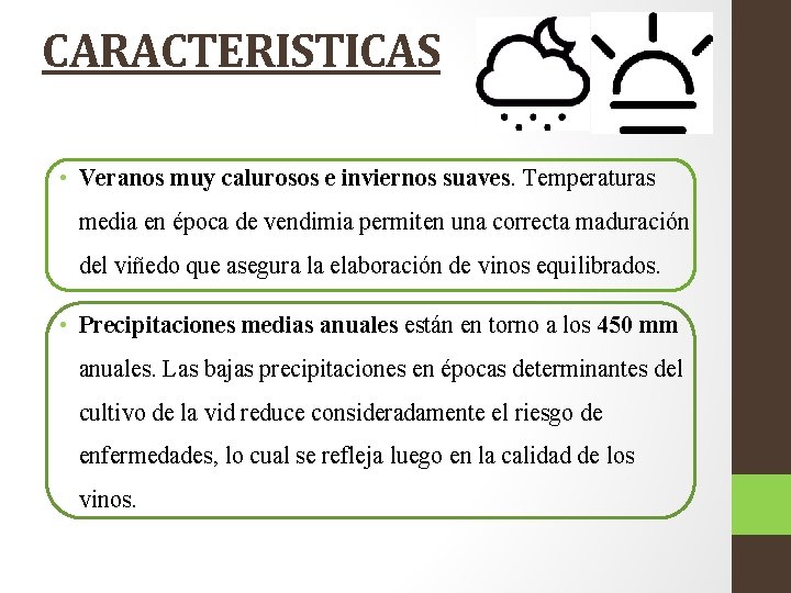 CARACTERISTICAS • Veranos muy calurosos e inviernos suaves. Temperaturas media en época de vendimia