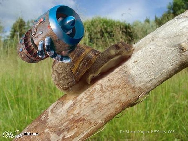 Dr. Richard Hughes, BHH Nov 2003 