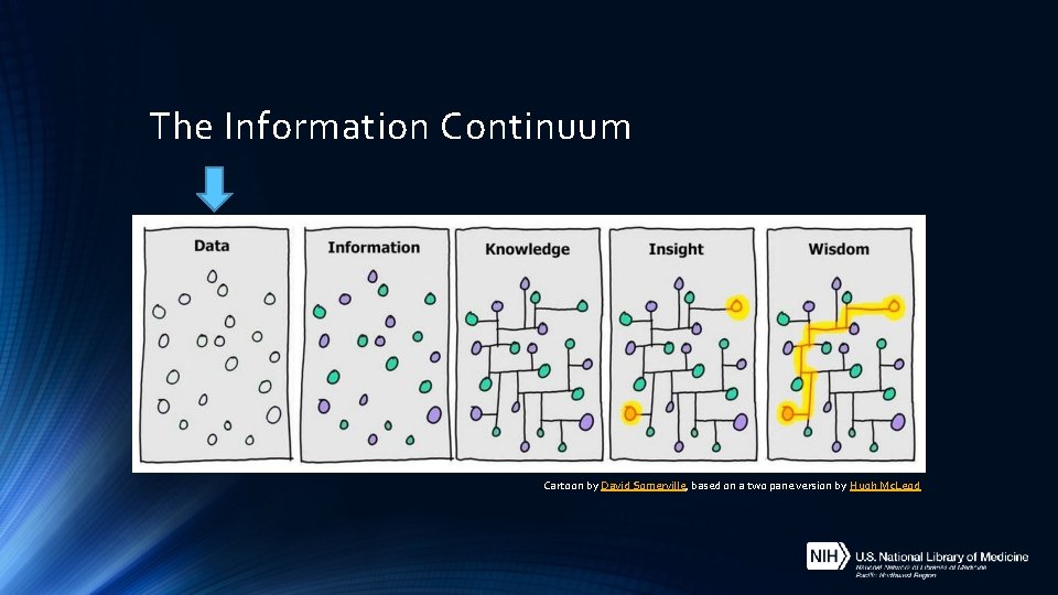 The Information Continuum Cartoon by David Somerville, based on a two pane version by