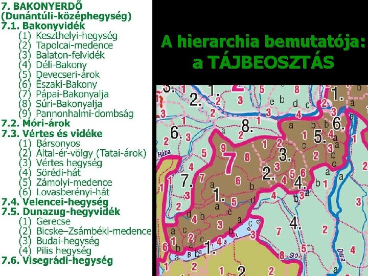 A hierarchia bemutatója: a TÁJBEOSZTÁS 