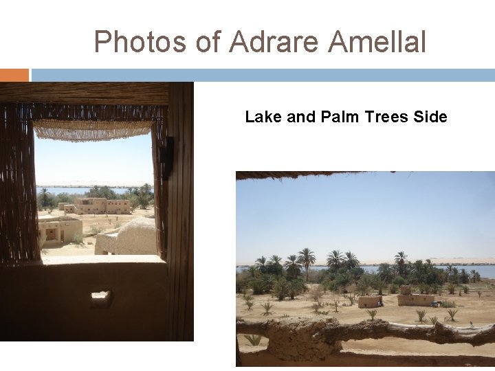 Photos of Adrare Amellal Lake and Palm Trees Side 