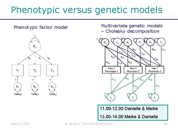 Phenotypic versus genetic models Phenotypic factor model Multivariate genetic models – Cholesky decomposition 11.