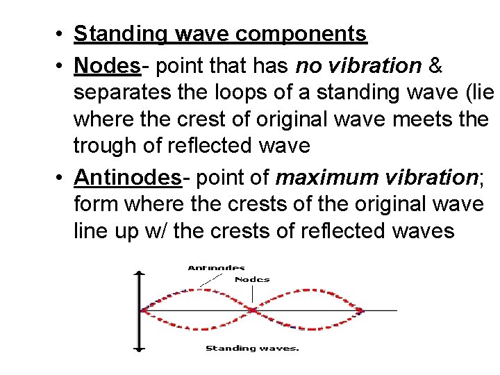  • Standing wave components • Nodes- point that has no vibration & separates