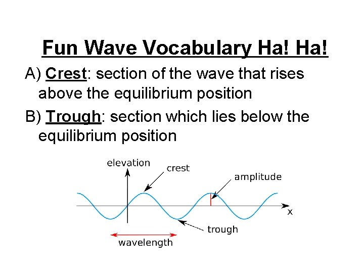 Fun Wave Vocabulary Ha! A) Crest: section of the wave that rises above the