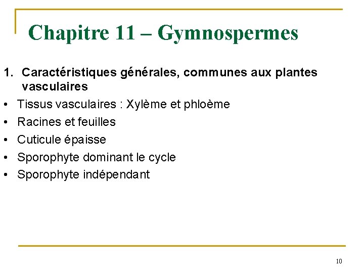 Chapitre 11 – Gymnospermes 1. Caractéristiques générales, communes aux plantes vasculaires • Tissus vasculaires