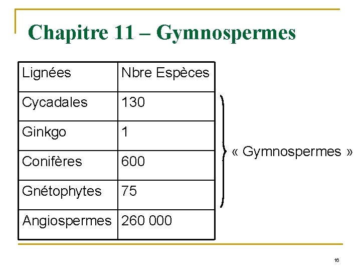 Chapitre 11 – Gymnospermes Lignées Nbre Espèces Cycadales 130 Ginkgo 1 Conifères 600 Gnétophytes