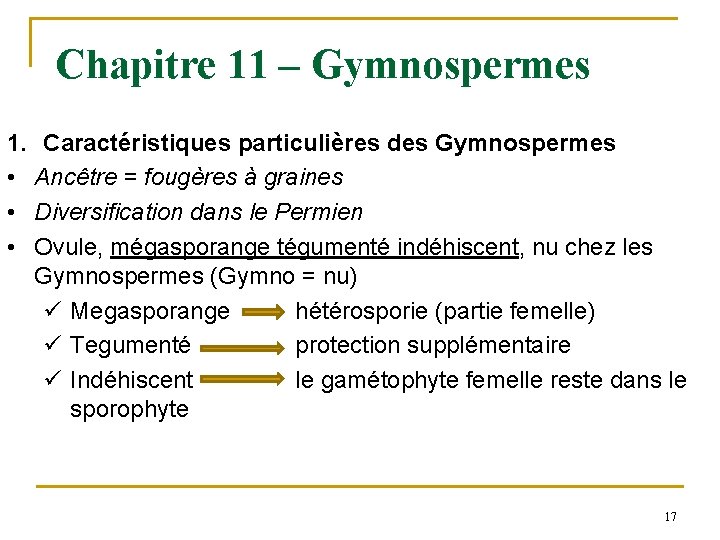 Chapitre 11 – Gymnospermes 1. Caractéristiques particulières des Gymnospermes • Ancêtre = fougères à