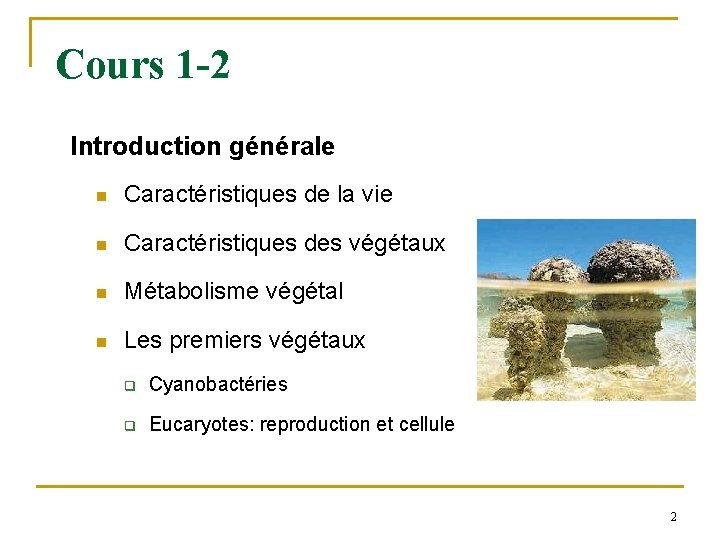 Cours 1 -2 Introduction générale n Caractéristiques de la vie n Caractéristiques des végétaux
