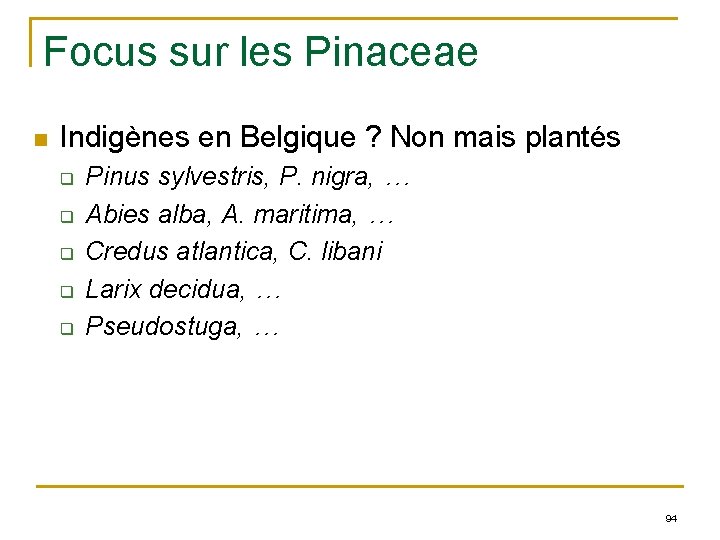 Focus sur les Pinaceae n Indigènes en Belgique ? Non mais plantés q q