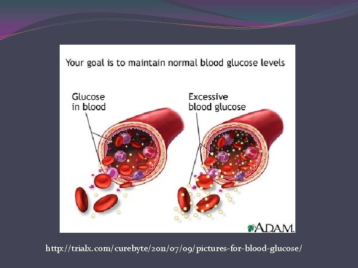 http: //trialx. com/curebyte/2011/07/09/pictures-for-blood-glucose/ 