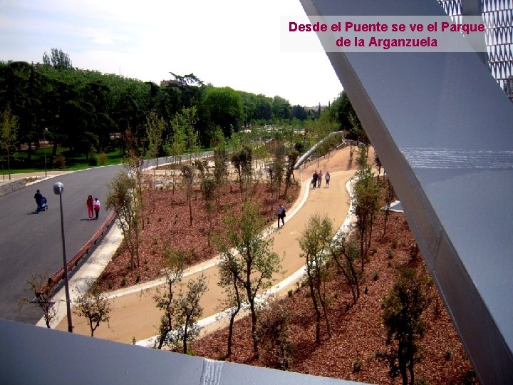 Desde el Puente se ve el Parque de la Arganzuela 