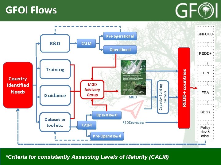 GFOI Flows Pre-operational R&D CALM Country Identified Needs Guidance Dataset or tool etc. MGD