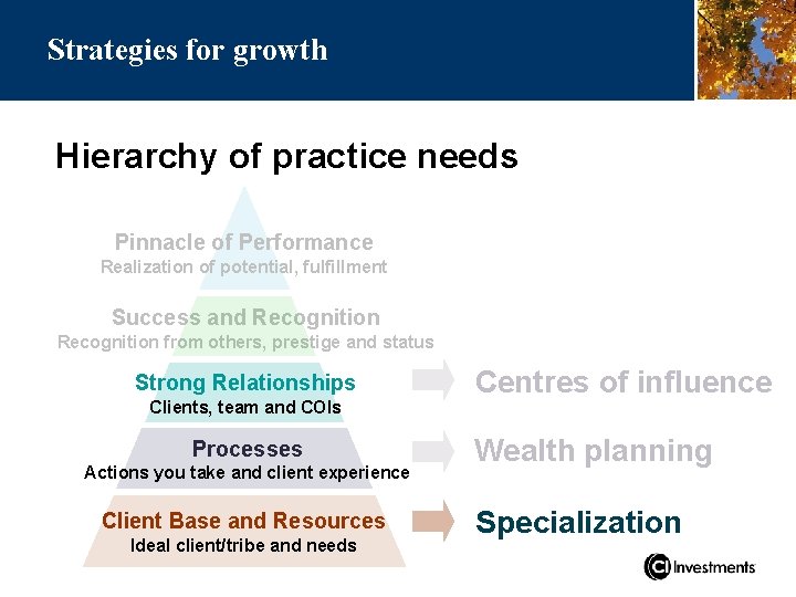 Strategies for growth Hierarchy of practice needs Pinnacle of Performance Realization of potential, fulfillment