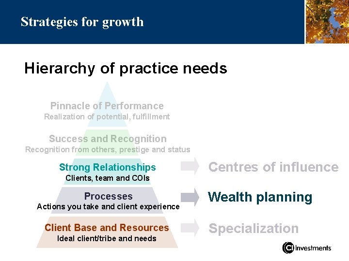 Strategies for growth Hierarchy of practice needs Pinnacle of Performance Realization of potential, fulfillment