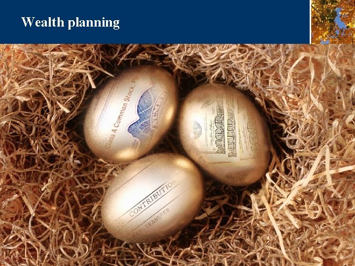 Wealth planning 