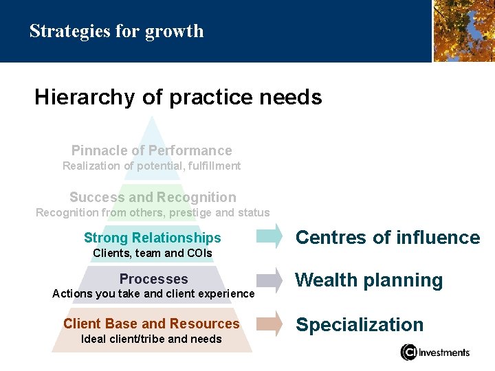 Strategies for growth Hierarchy of practice needs Pinnacle of Performance Realization of potential, fulfillment