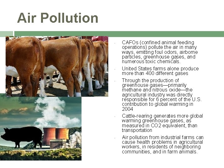 Air Pollution • • • CAFOs (confined animal feeding operations) pollute the air in