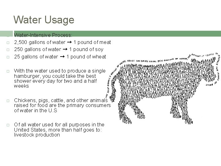 Water Usage Water-Intensive Process: 2, 500 gallons of water ➞ 1 pound of meat