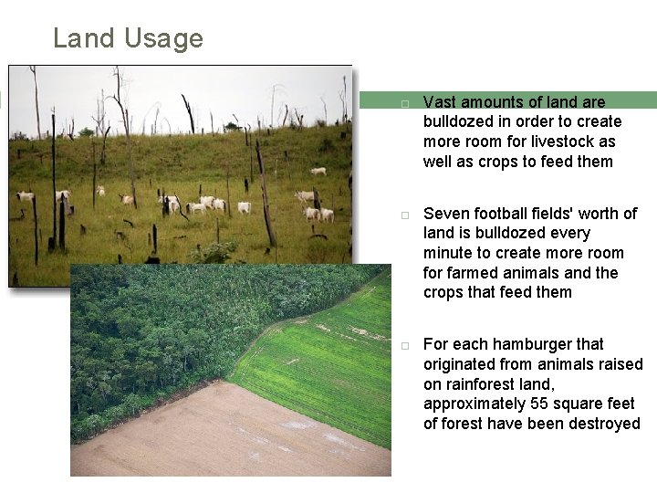 Land Usage Vast amounts of land are bulldozed in order to create more room