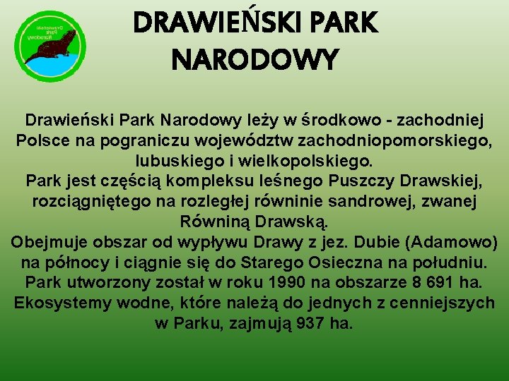 DRAWIEŃSKI PARK NARODOWY Drawieński Park Narodowy leży w środkowo - zachodniej Polsce na pograniczu
