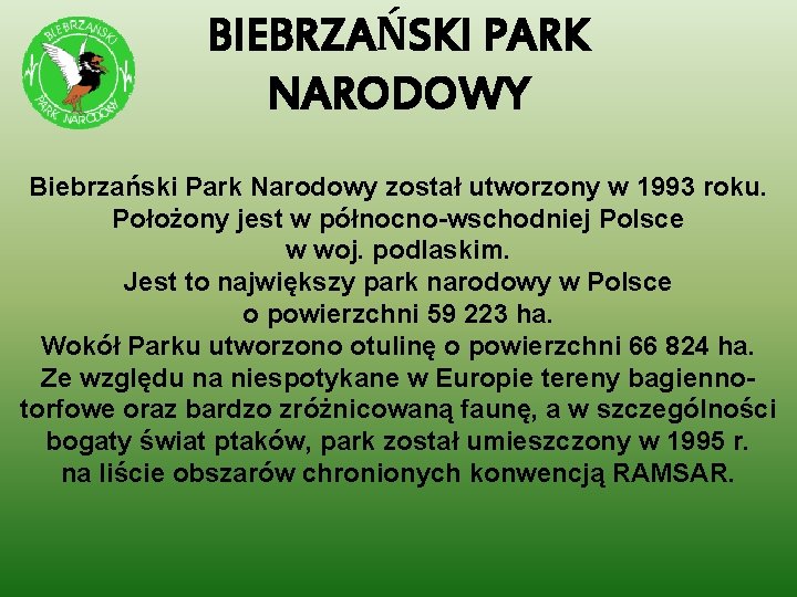 BIEBRZAŃSKI PARK NARODOWY Biebrzański Park Narodowy został utworzony w 1993 roku. Położony jest w