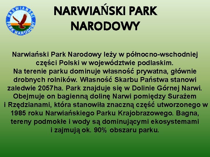 NARWIAŃSKI PARK NARODOWY Narwiański Park Narodowy leży w północno-wschodniej części Polski w województwie podlaskim.