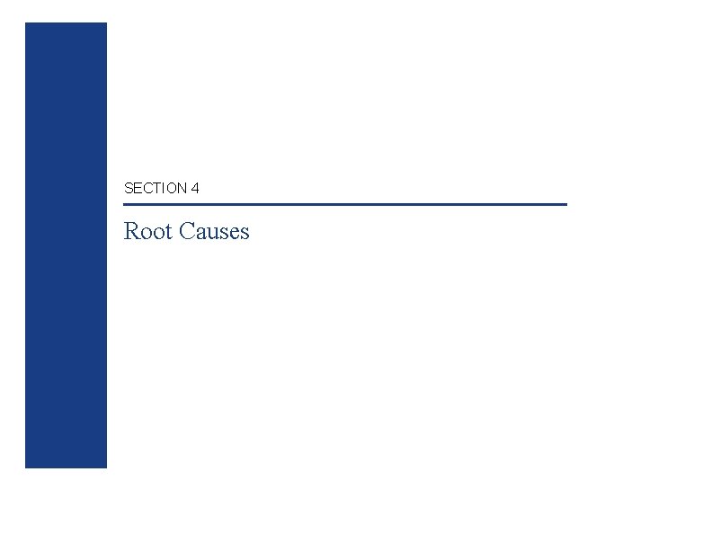 SECTION 4 Root Causes 
