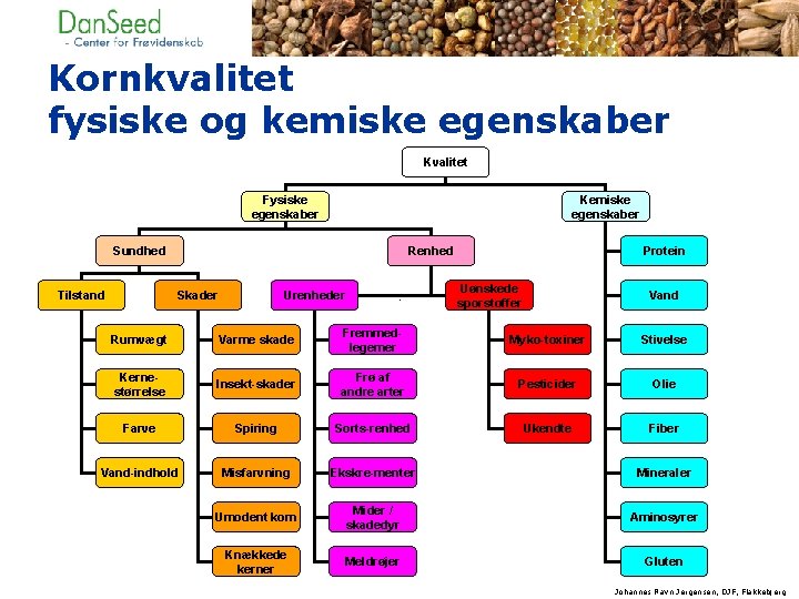 Kornkvalitet fysiske og kemiske egenskaber Kvalitet Fysiske egenskaber Kemiske egenskaber Sundhed Tilstand Renhed Skader